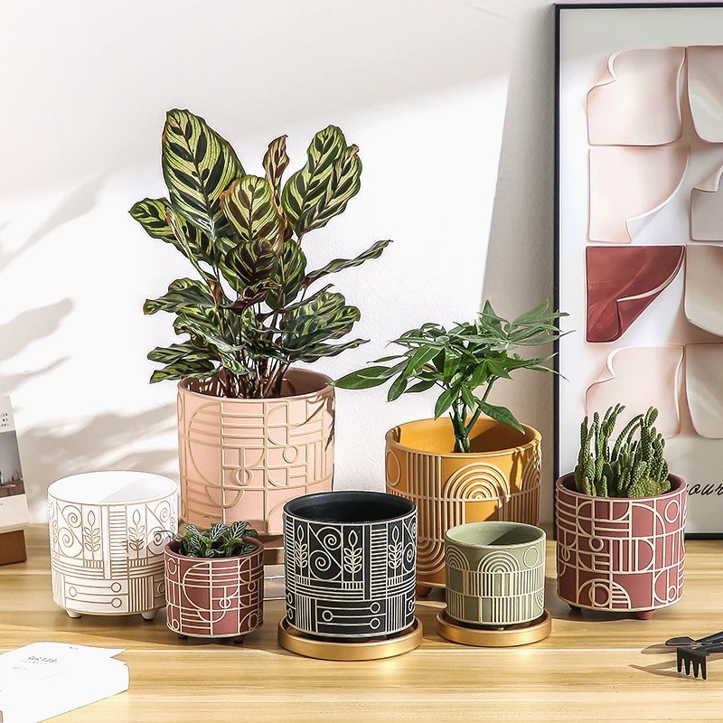 Echeveria Succulent - Simple Cylindrical Ceramic Flower Pot Succulent