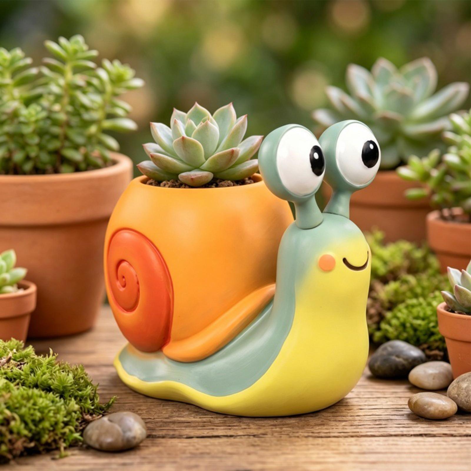 Snail Shape Flower Pot Snail f - Echeveria Succulent recension och pris