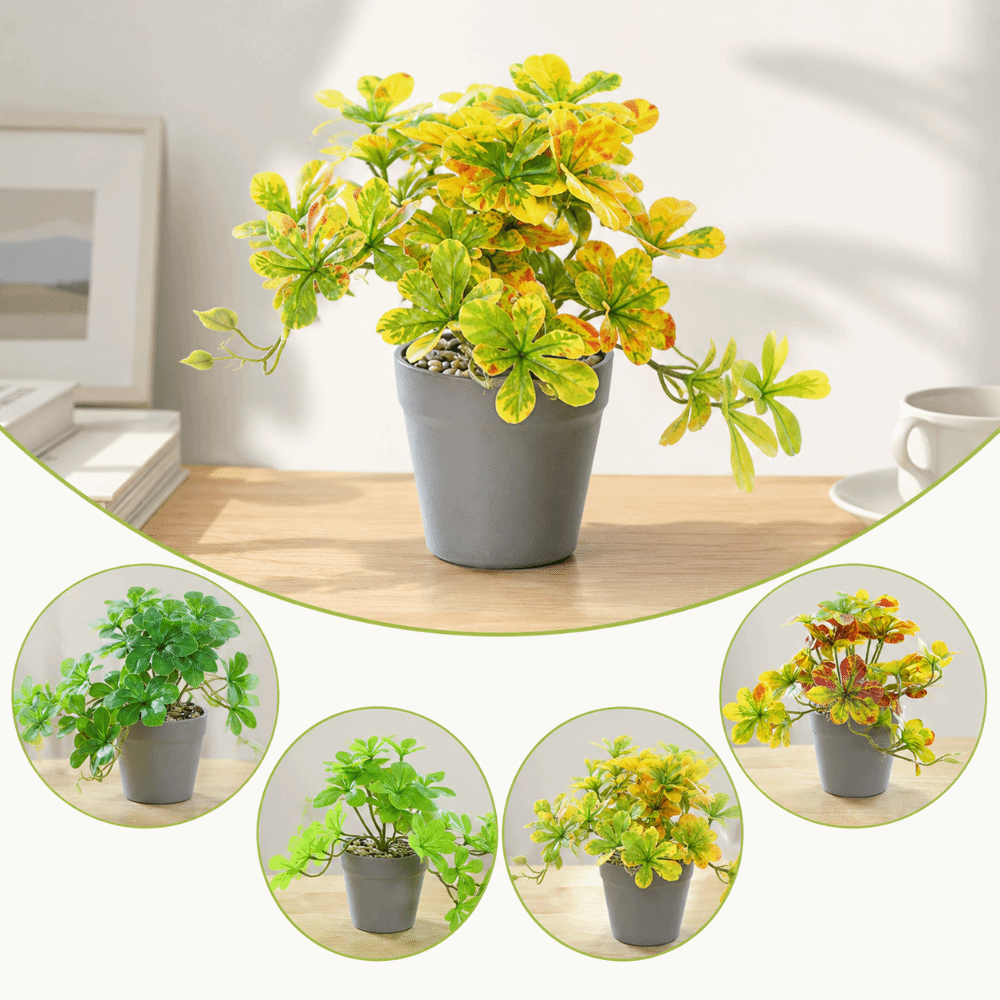Bonsai Artificial Bonsai Plant - Spider Plant Hanging recension och pris