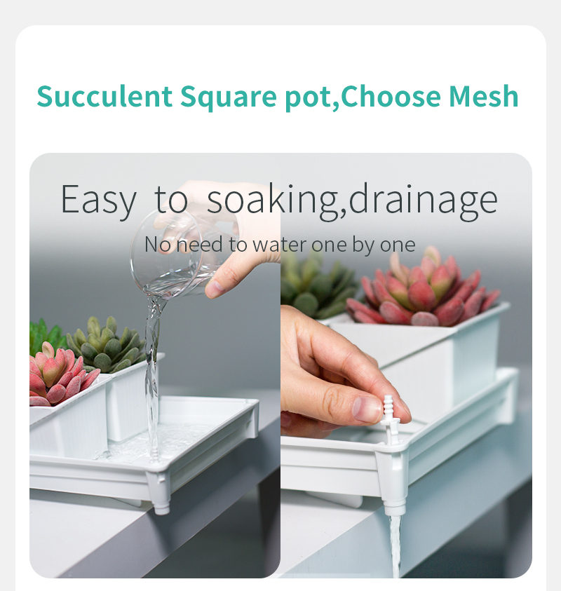 Meshpot Succulent Pot Set Cact - Echeveria Succulent recension och pris
