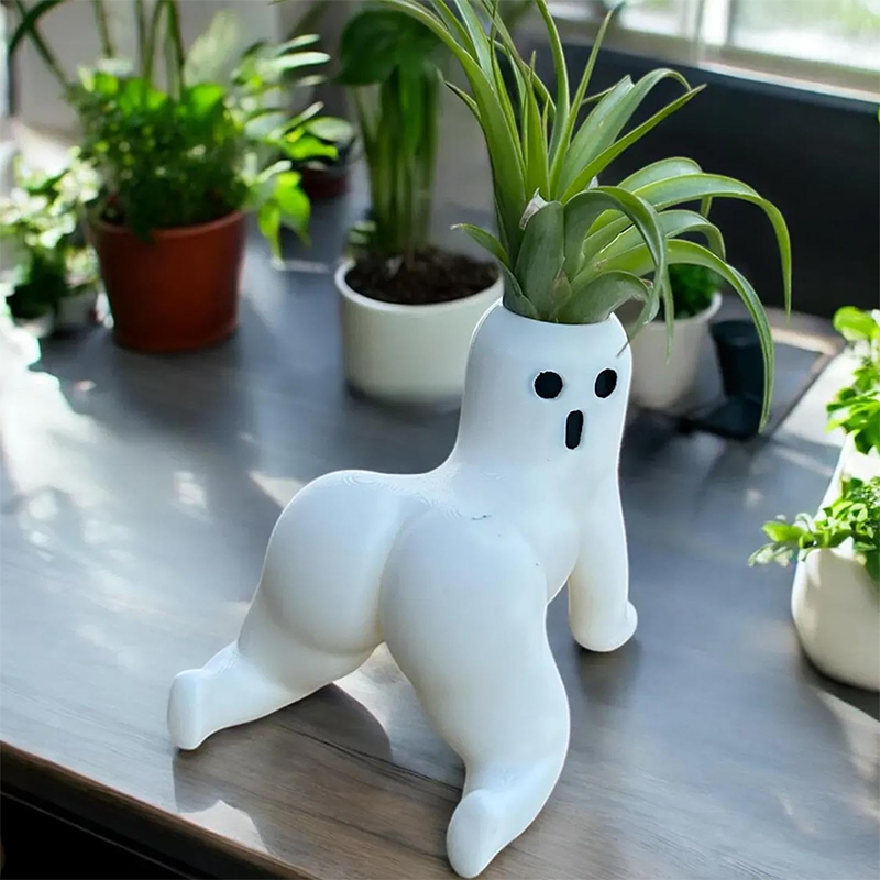 Funny Big Booty Ghost Planter  - Echeveria Succulent recension och pris