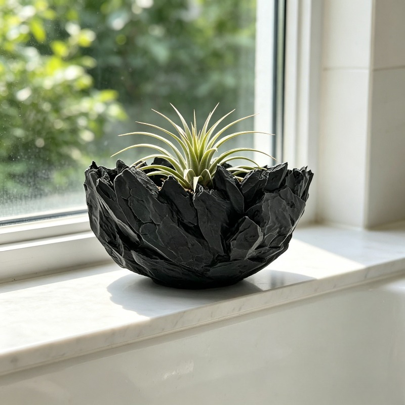 Plant Pot Large Caliber Stone  - Echeveria Succulent recension och pris