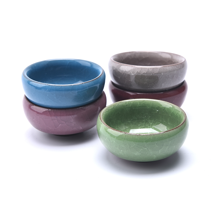 Cute Ice-Crack Glaze Flower Ce - Echeveria Succulent recension och pris