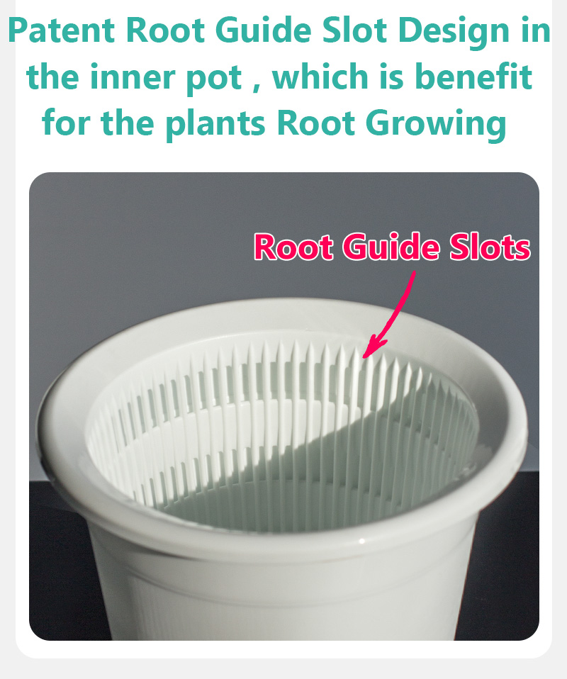Double Wall Orchid Pot Succule - Echeveria Succulent recension och pris