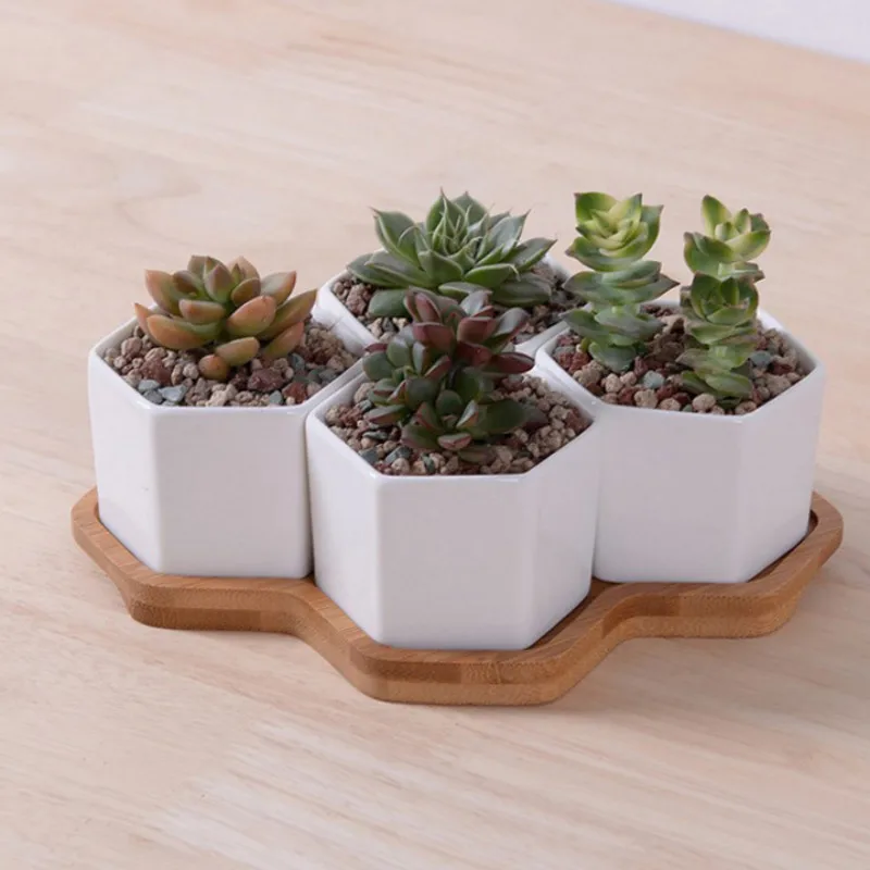 Set of 4/7/9/10 Hexagon Flower - Echeveria Succulent recension och pris